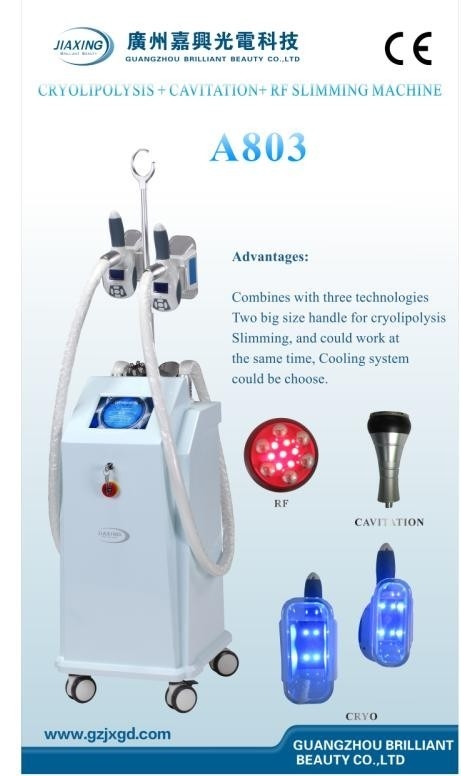 Cryolipolysis non envahissant amincissant l'équipement de beauté avec le contact Screen/A804 de couleur de 8 pouces