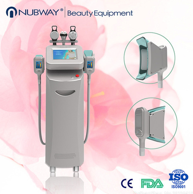 Corps de la machine 2014/Cryolipolysis de Cryolipolysis amincissant l'équipement de beauté